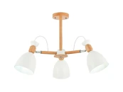 Люстра потолочная EVOLUCE