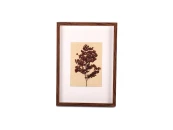 Картина Люти 23x31 см