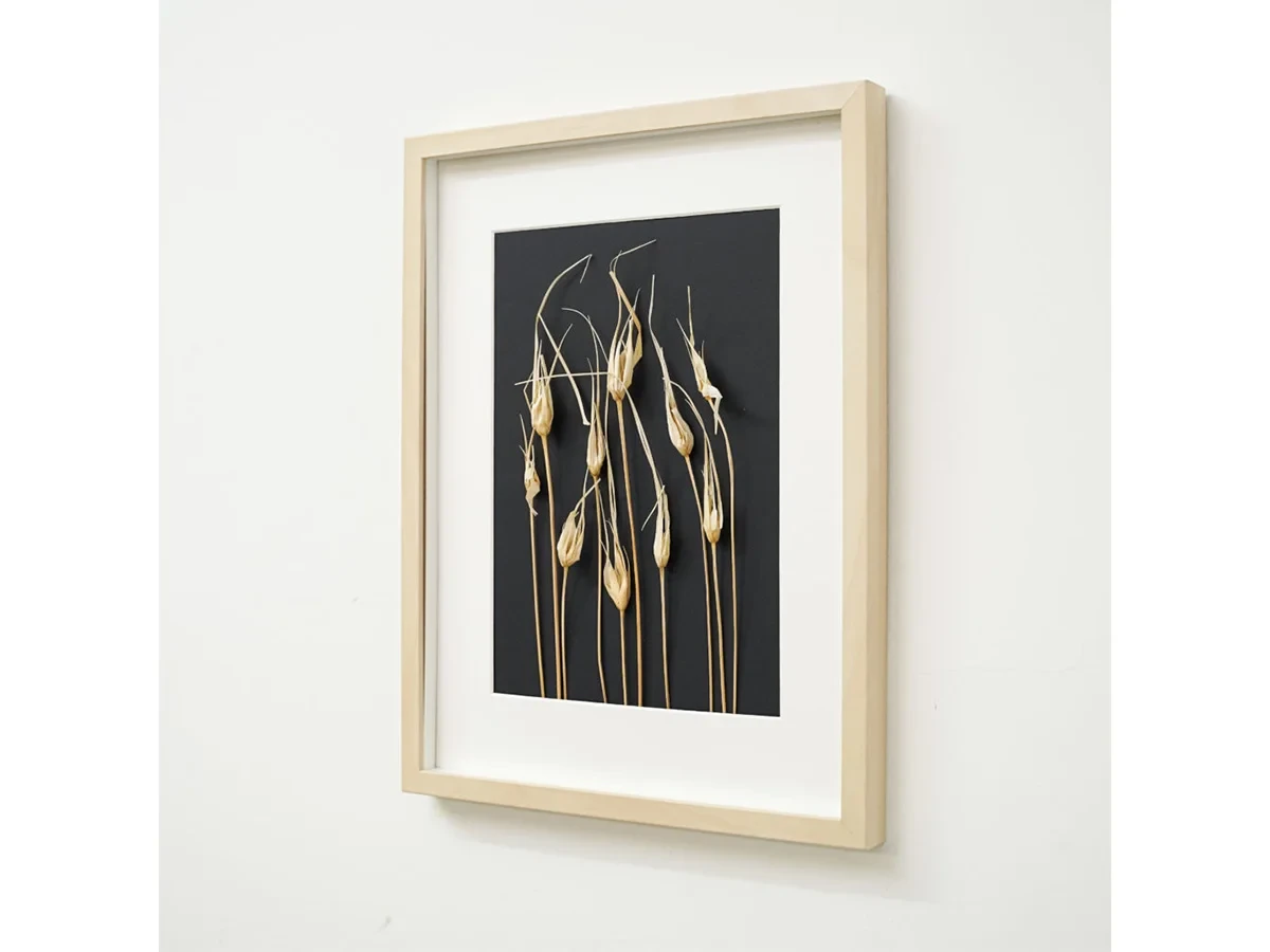 Картина с листьями тюльпана 708434  - фото 4