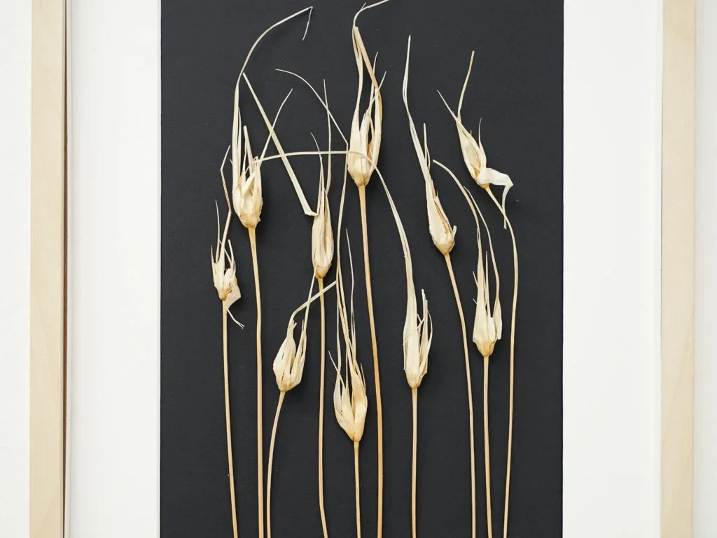 Картина с листьями тюльпана 708434