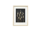 Картина с листьями тюльпана