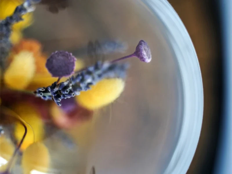 Клош в осенних красках 708449  - фото 5