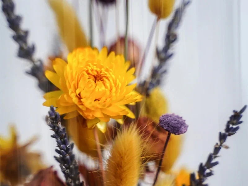 Клош в осенних красках 708449  - фото 4