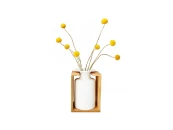 Композиция с желтой краспедией