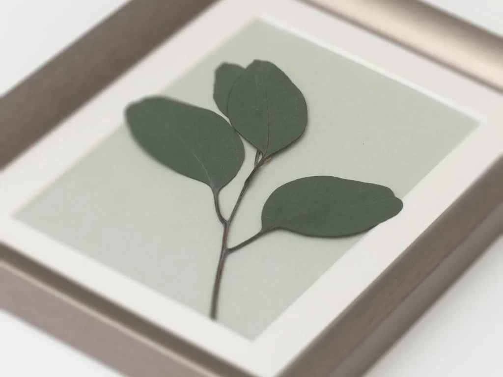 Панно с веточкой Эвкалипта 708582