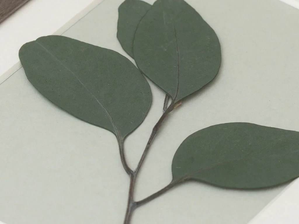 Панно с веточкой Эвкалипта 708582  - фото 3