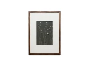 Панно с Гелихризиумом