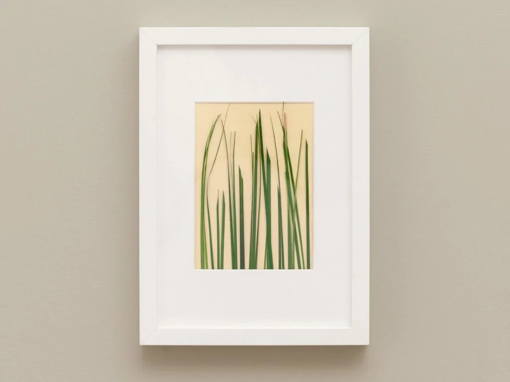 Панно с зеленой травой 708600  - фото 4