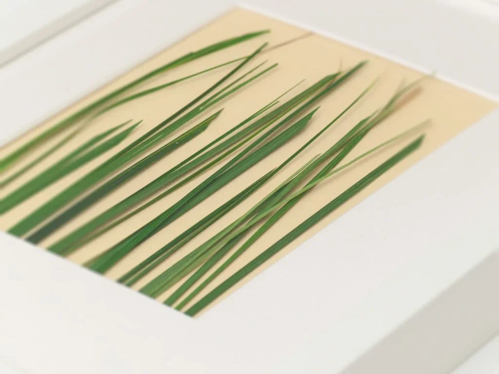 Панно с зеленой травой 708600  - фото 3