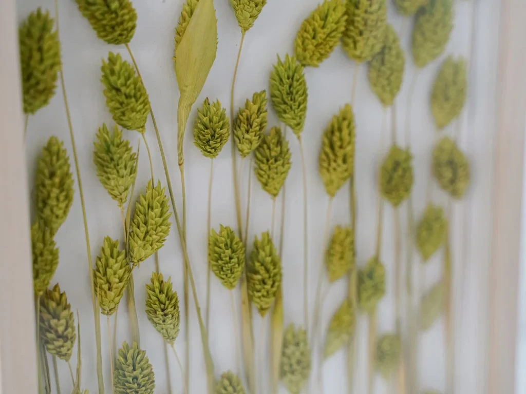 Панно с зеленым Фалярисом 708602  - фото 4