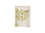 Панно с зеленым Фалярисом