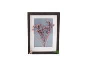 Панно с нежно-розовым Лимониумом