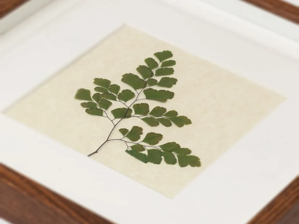 Панно с папоротником Адиантум 708628