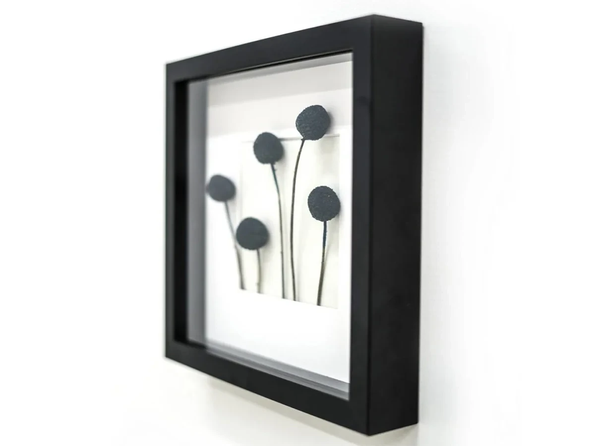 Панно с черной Краспедией 708667  - фото 3