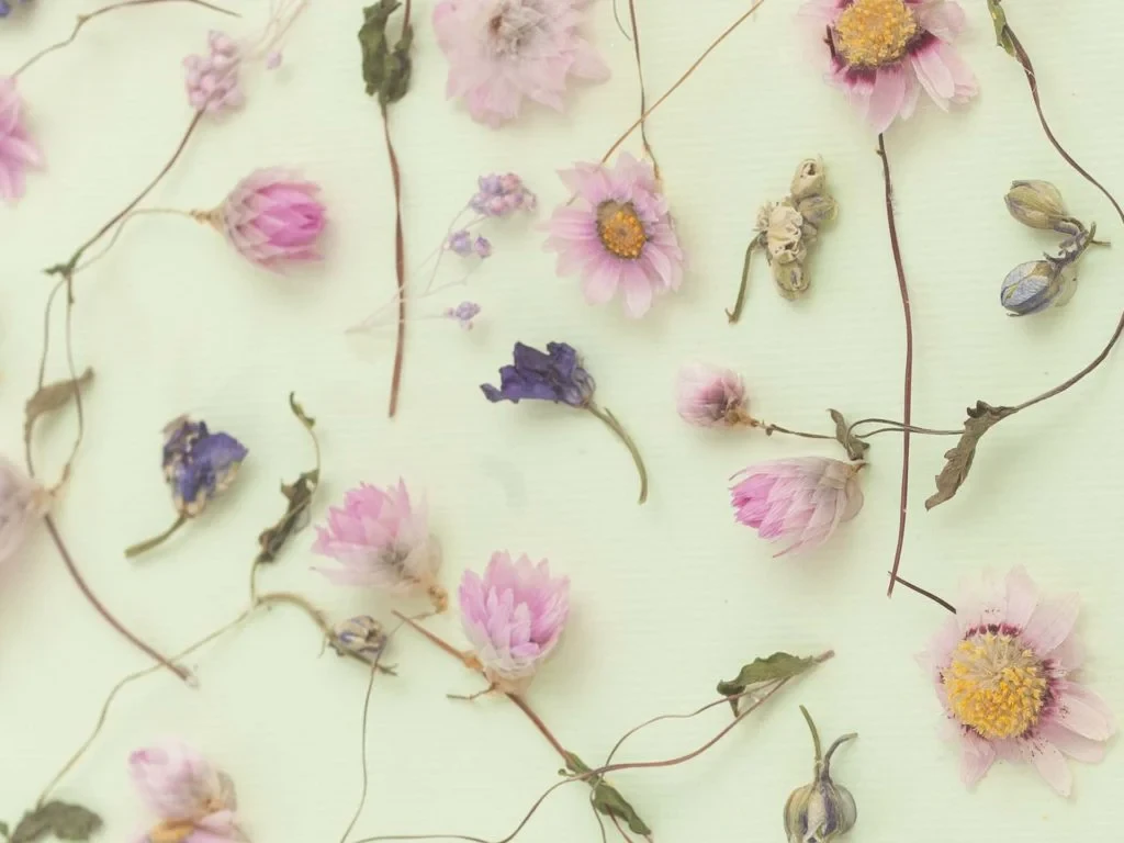 Панно-микс с розовыми сухоцветами 708679  - фото 3