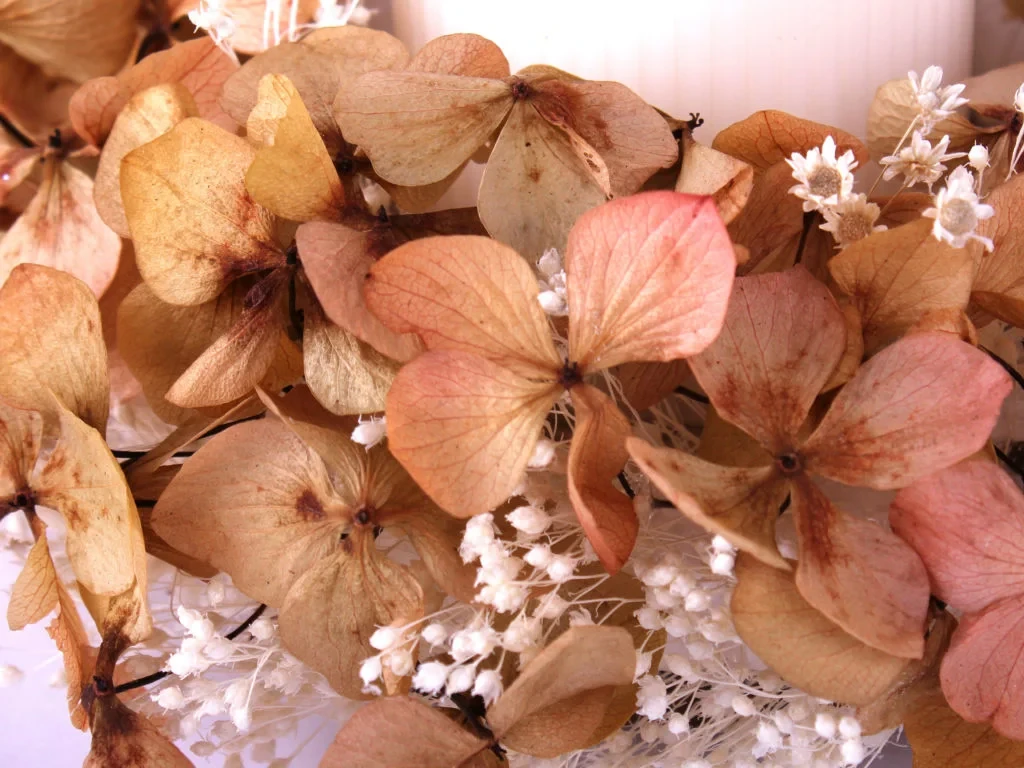 Подсвечник из стабилизированной гортензии 708689  - фото 3