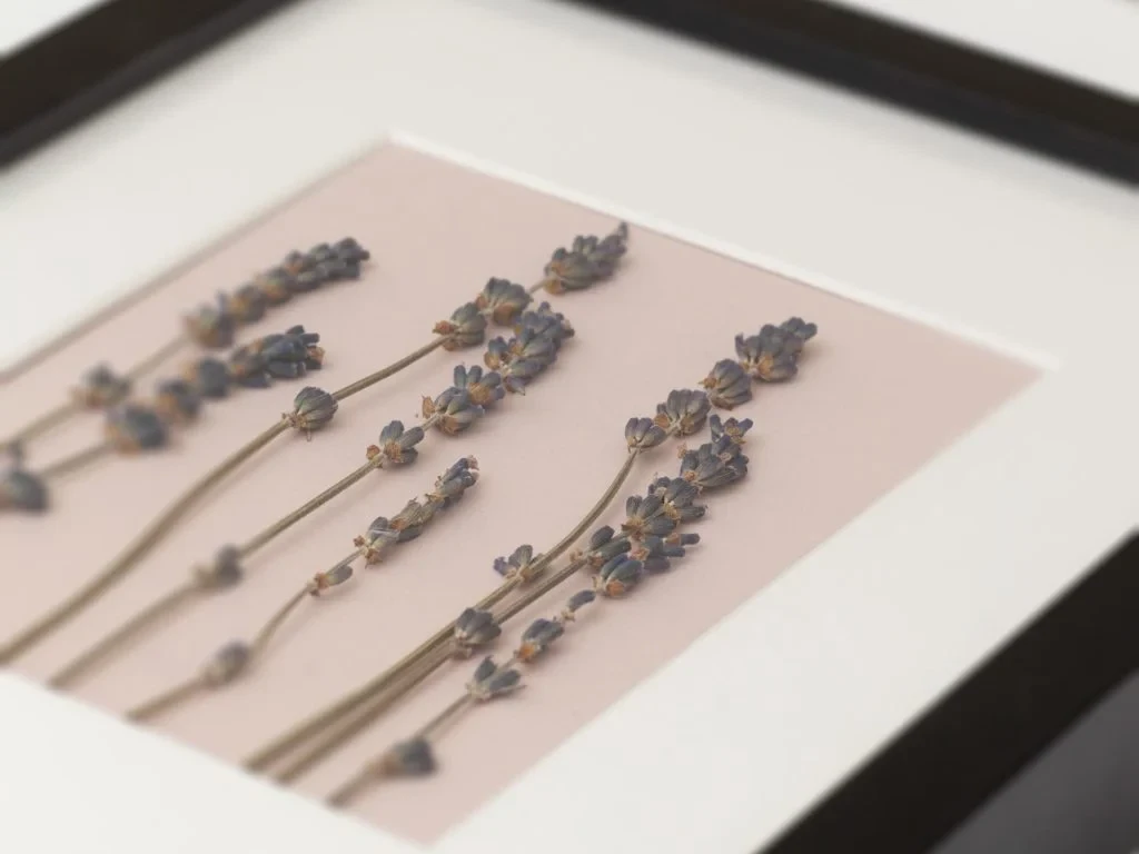 Розовое панно с лавандой 708749  - фото 3