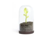 Контейнер Sprout Jar 566347