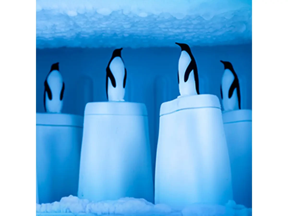 Форма для мороженого Penguin on ice 566544  - фото 3