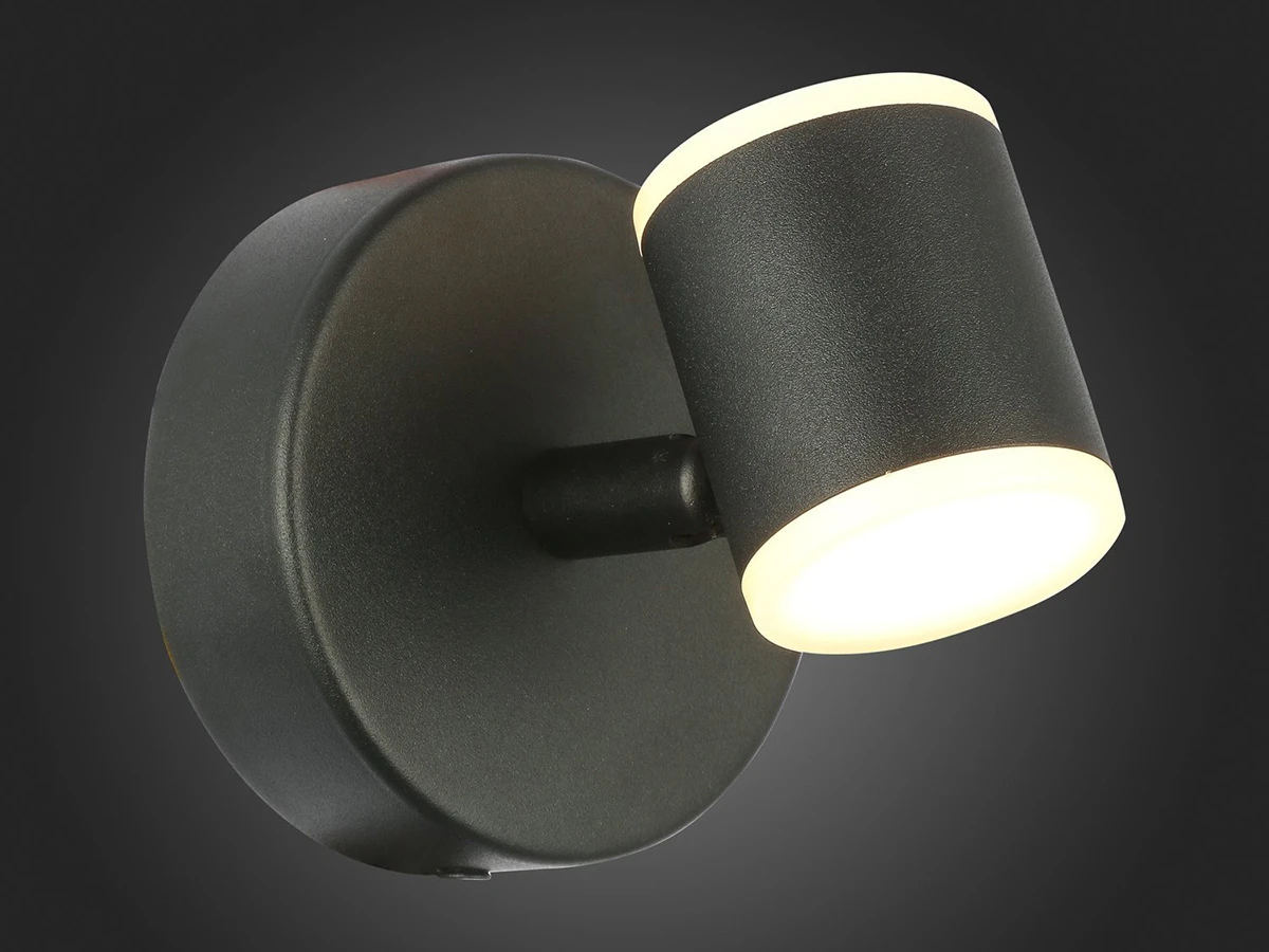 Светильник настенный ST LUCE 603680  - фото 4