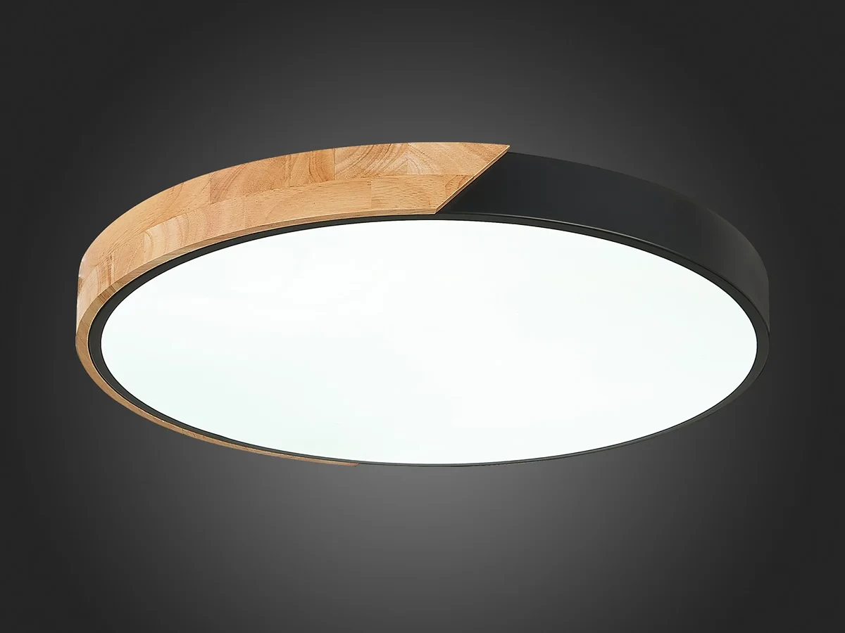 Светильник потолочный EVOLUCE 603764  - фото 7