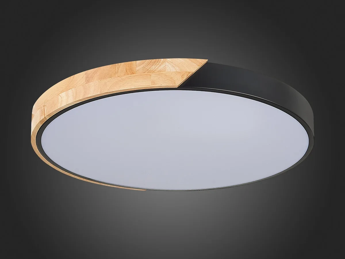 Светильник потолочный EVOLUCE 603764  - фото 8