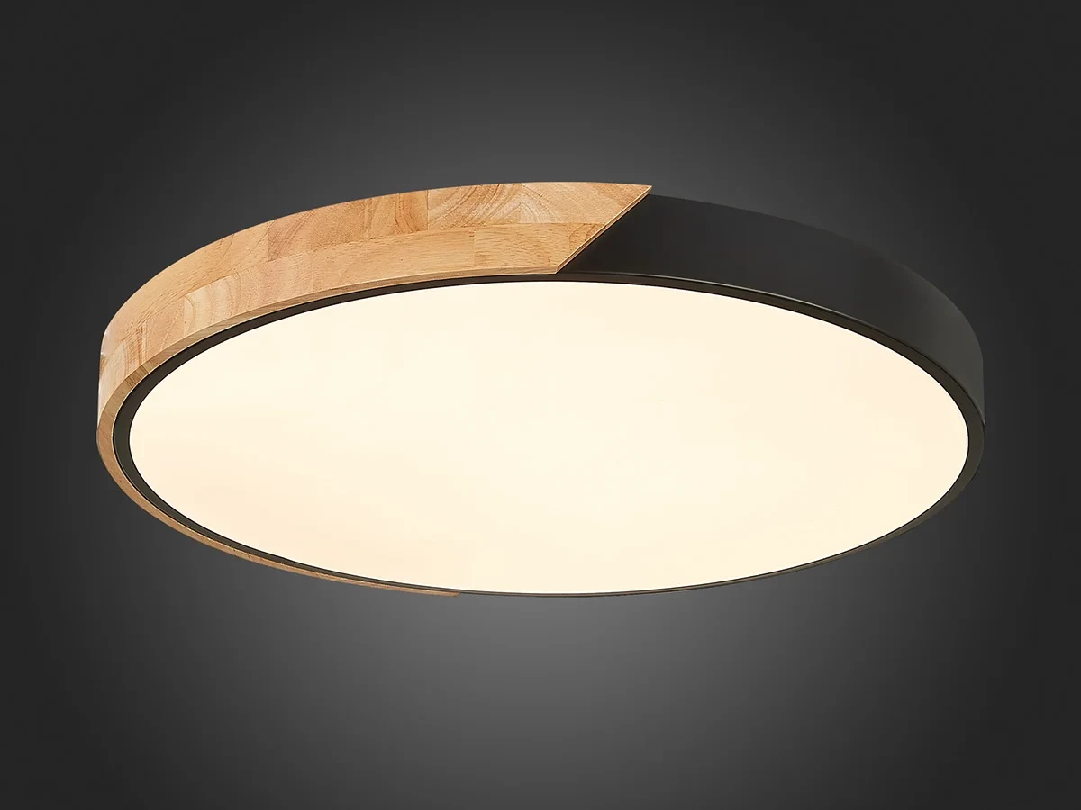 Светильник потолочный EVOLUCE 603764  - фото 6