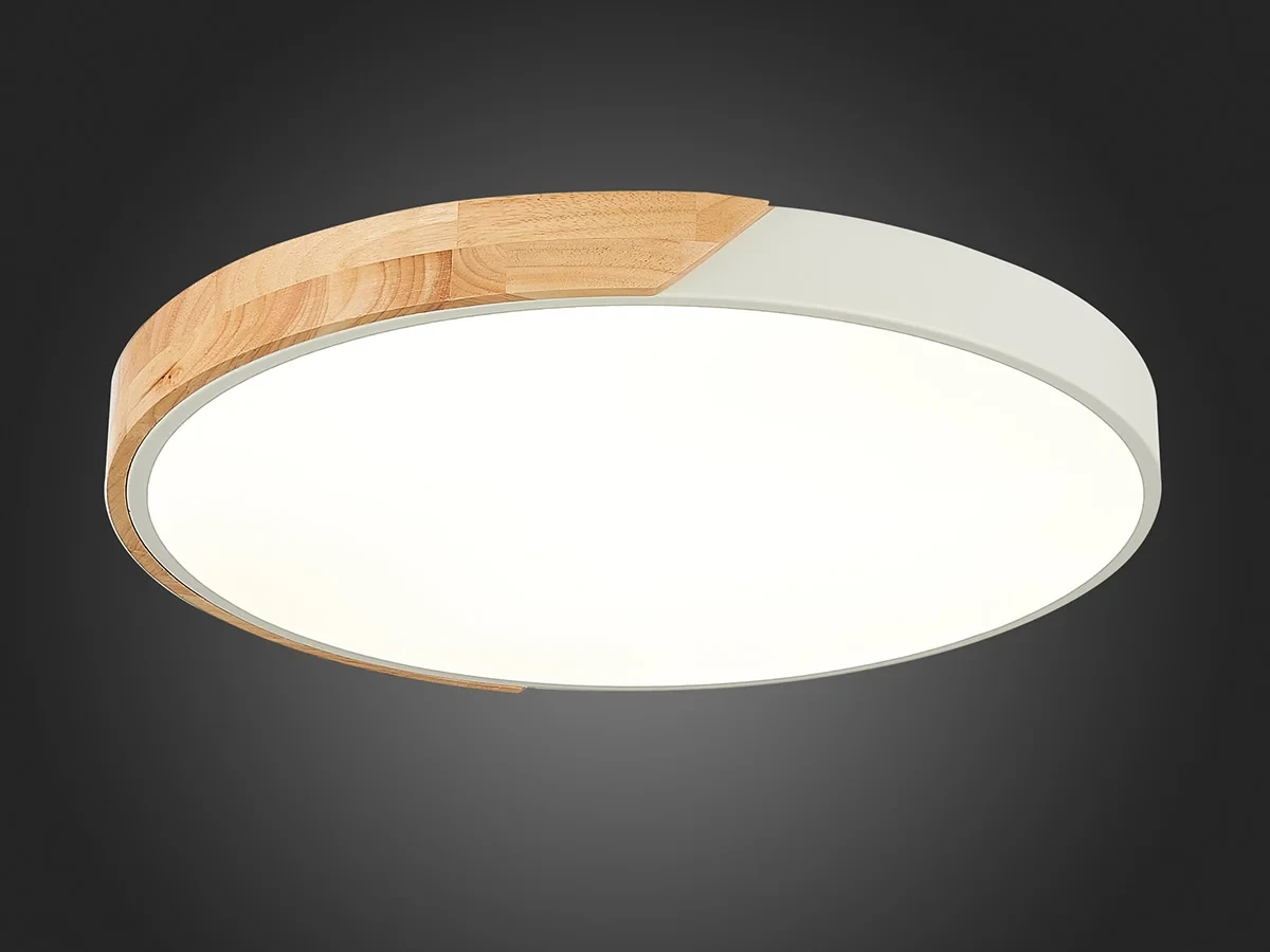 Светильник потолочный EVOLUCE 603765  - фото 5