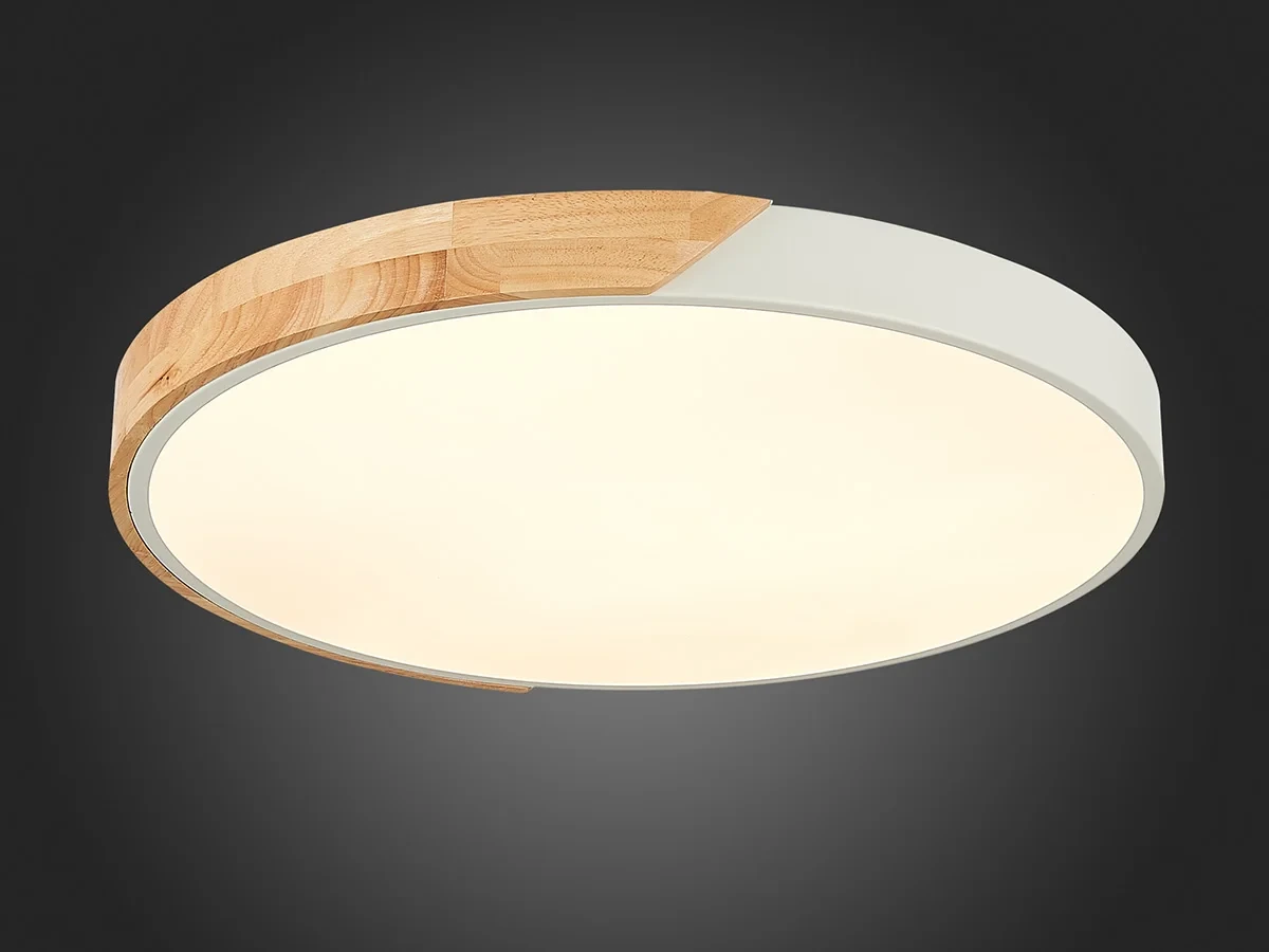 Светильник потолочный EVOLUCE 603765  - фото 6