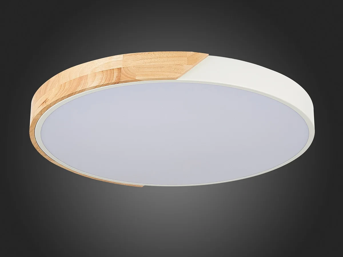 Светильник потолочный EVOLUCE 603765  - фото 8