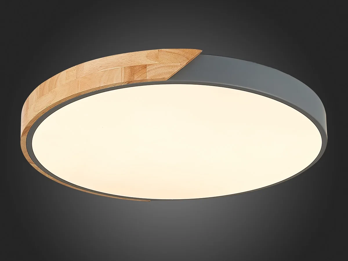 Светильник потолочный EVOLUCE 603766  - фото 6