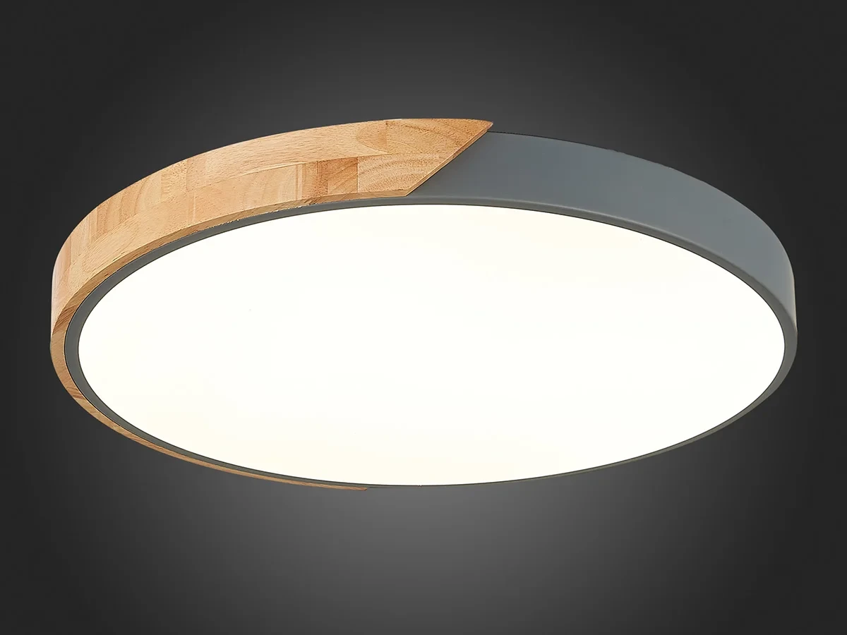 Светильник потолочный EVOLUCE 603766  - фото 5