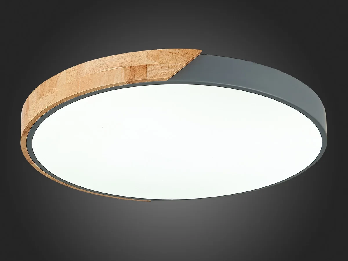 Светильник потолочный EVOLUCE 603766  - фото 7