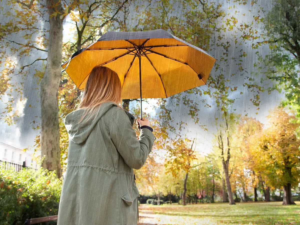 Зонт Black and Gold 567141  - фото 4