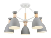 Потолочный светильник Delia