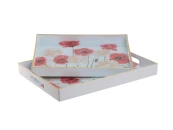 Набор подносов 2 шт