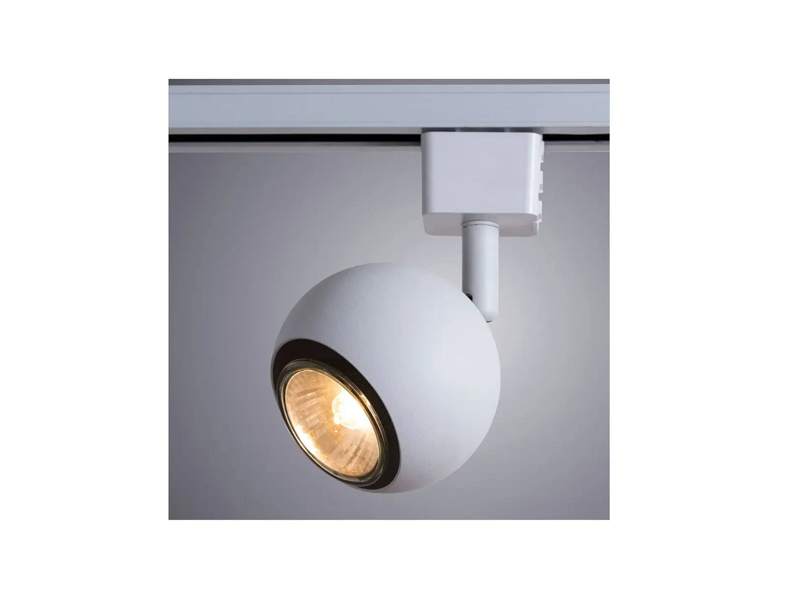 Спот BRAD 578012