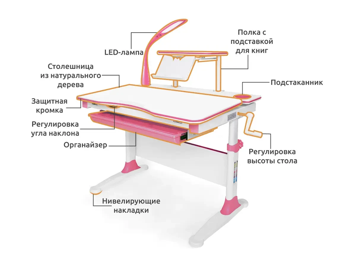 Парта mealux evo 40