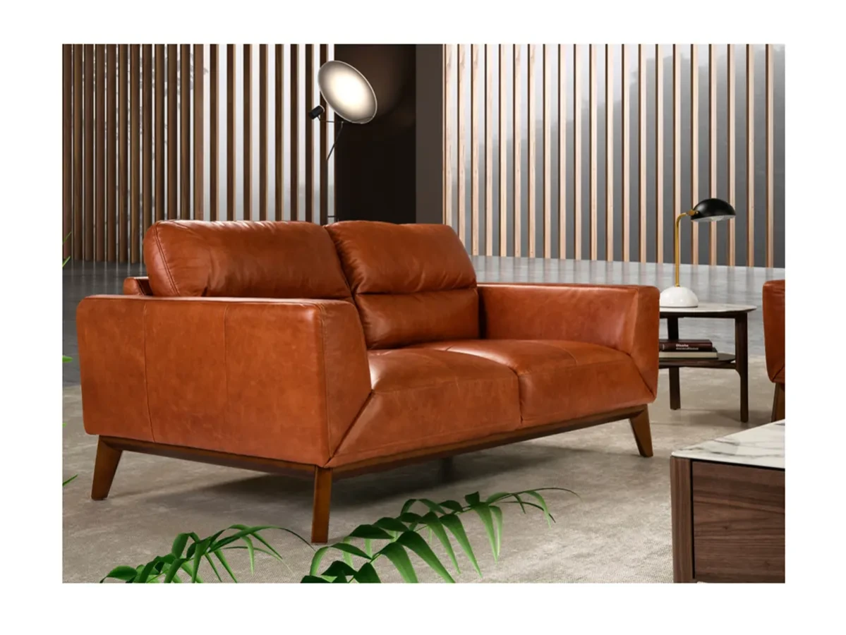 фото коричневого дивана