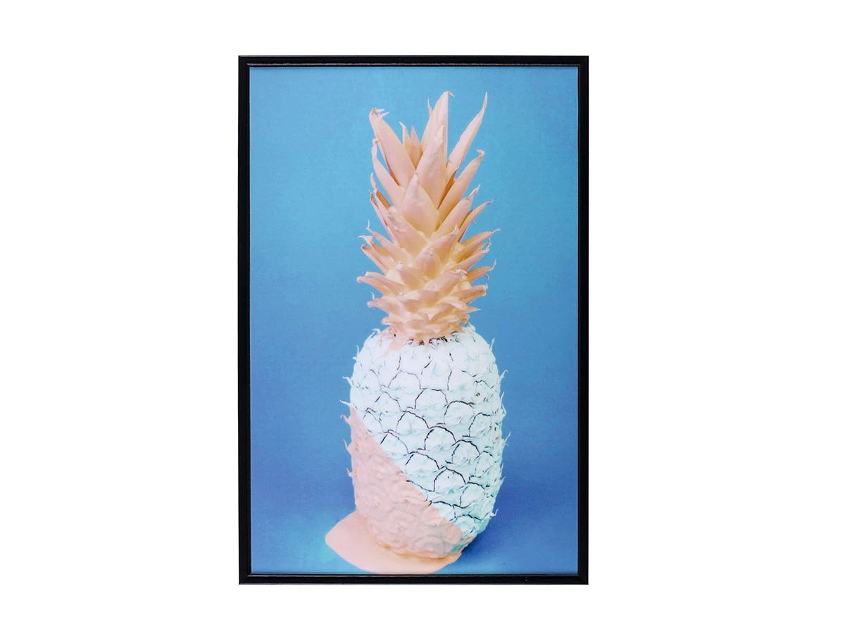 Картина Pineapple 19х29см 771654