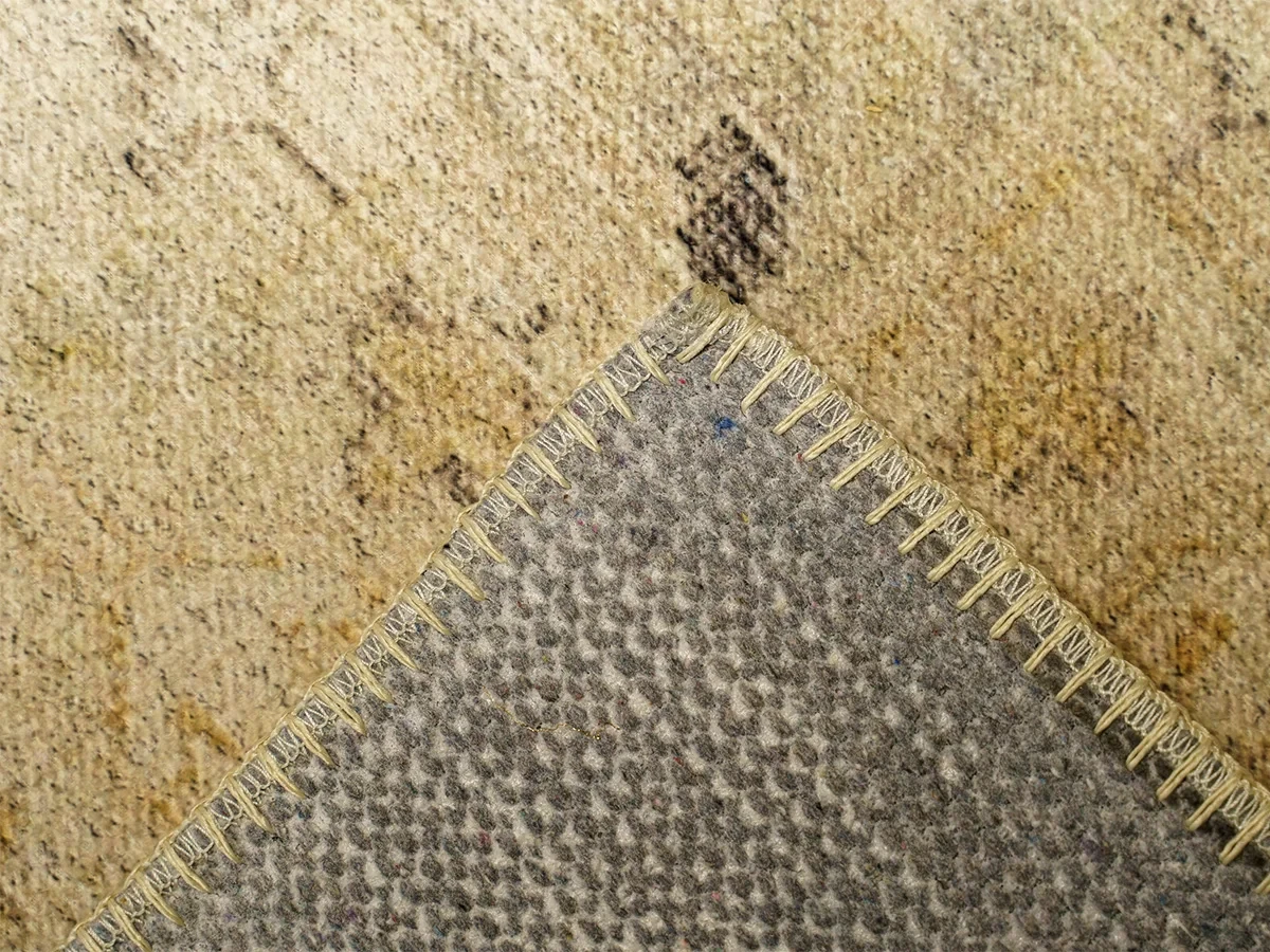 Ковер Aman Beige 803447  - фото 5
